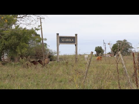 Segurola, partido Maipú, provincia de Buenos Aires.