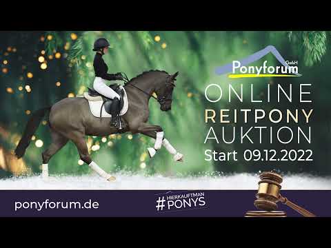 Motega Wallach 2017 v. Movie Star / FS Champion de Luxe