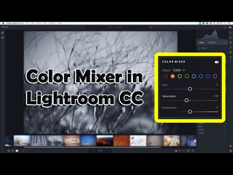 Lightroom CC Complete Beginner Course – Photo Editing & Organization