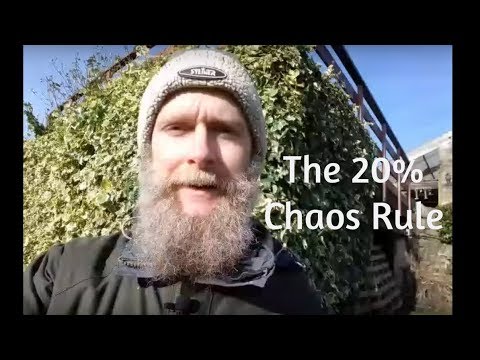 The 20% Chaos Rule - How To Cope When Life Is Not Flowing