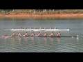 UGA Rowing