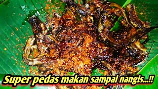 Download lagu Mukbang belut goreng dadakan super pedas di lokasi sawah...!! mp3