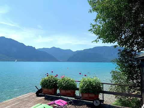 Nou!!! Daniel Hîrtie - De pe căile deșarte