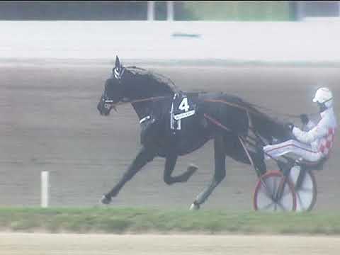 Trotto 29/04/2019 - 5ª corsa