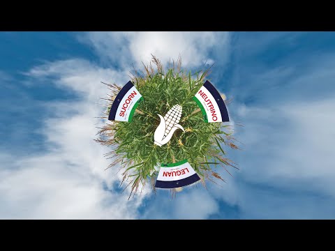 Saaten-Union: Sortenschauen 2020 – Jetzt neu mit Mais!