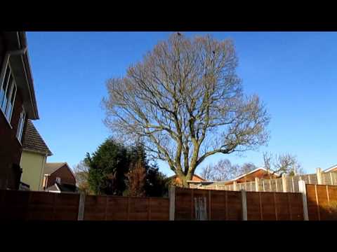 Canon IXUS 145 video and photo zoom test