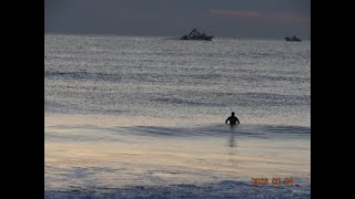 【千葉県・白子町 中里海岸散歩】＜その❷＞※2026年02月04日（水）春分