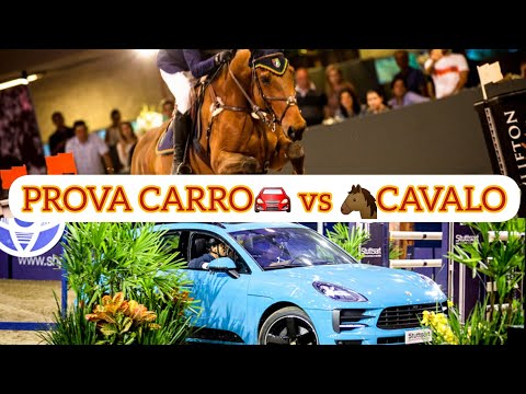 CSI-W INDOOR SOCIEDADE HÍPICA PAULISTA|PROVA CARRO CAVALO.