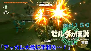 ゼルダの伝説ティアーズオブザキングダム実況part150