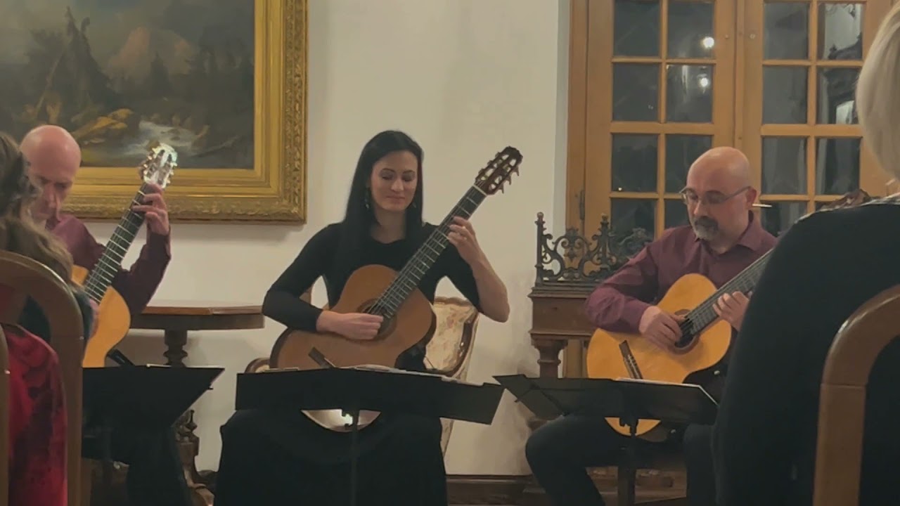 náhled z videa Vánoční koncert v zámeckém hudebním salonu