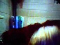 Videos From Spring 2007 On AFV Pt1