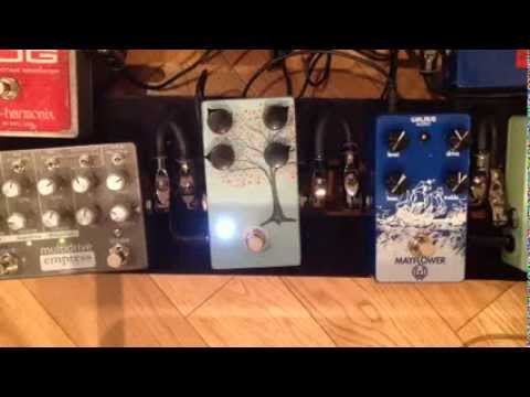 Chris Wrate of Ariana Grande rocking his Mercy Seat Effects Tree of Life overdrive gutiar pedal