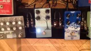 Video thumbnail for Chris Wrate of Ariana Grande rocking his Mercy Seat Effects Tree of Life overdrive gutiar pedal by Mercy Seat