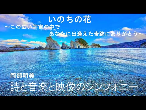 人間心理学科 【いのちの花～この広い宇宙の中であなたに出逢えた奇跡にありがとう～】 岡部明美 朗読Vol.05～新しい人生の扉を開きたい時、あなたの心をそっと抱きしめてくれる詩と音楽と映像のシンフォニー