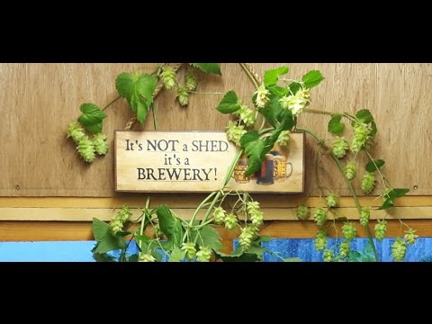 Saaz Hallertau IPA with own grown hops (HBW 030)