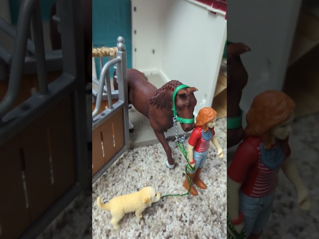 Vídeo relacionado con Schleich Horse Club | Lisa & Storm 42541 | Figura articulada con Caballo, Silla y Accesorios | Regalo para niños y niñas | Juguete de Caballos a Partir de 5 años | 10 Piezas | Exclusivo en Amazon