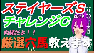 【競馬予想】ステイヤーズＳ、チャレンジＣ 2019 穴馬で勝負します！！地力はあるはず！！！