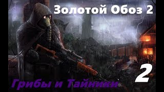 S.T.A.L.K.E.R. Золотой Обоз 2. #2 Грибы и Тайники.