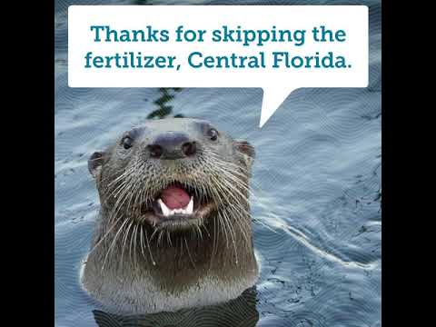 featured video thumbnail