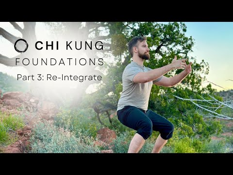 Chi Kung Foundations Course | Week 3: Re-Integrate | Qigong Standing Meditation Zhan Zhuang & Ma Bu
