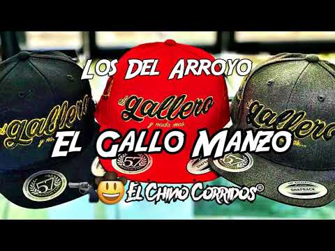 EL GALLO MANZO - Los Del Arroyo [CORRIDOS 2018]