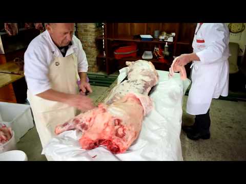 Koline Turističnega društva Cven