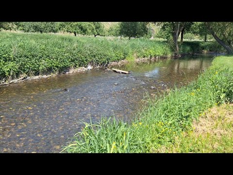 NATUR PUR zum Erholen für Kinder und Erwachsene. Ein Ausflug an die Dhron.