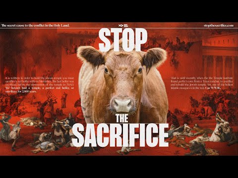 Stop the Red Heifer Sacrifice: Prevent Holy WWIII