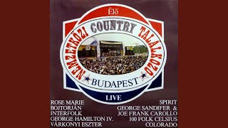 Tennessee Whisky And Texas Women