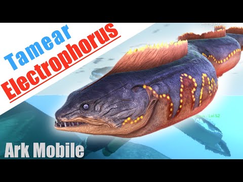 Tamear Electrophorus!! 🐍✔️ | Ark Mobile