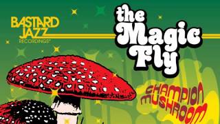 The Magic Fly - Play That Funky Reggae