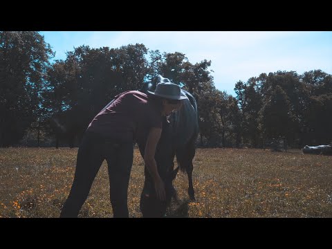 Clara Louise - Für immer weiter (Offizielles Musikvideo)