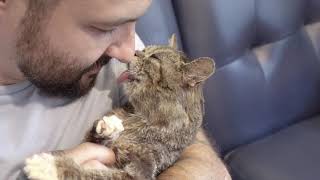 Clean, Cuddle and Crash with Lil BUB