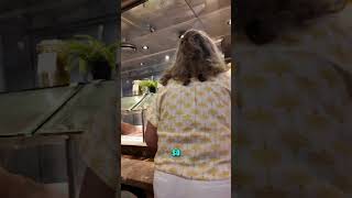 Port of Indecision Buffet on the Margaritaville at Sea Islander #CruiseLife #Cruise