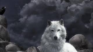 ARMAND AMAR 🔯 La Génèse