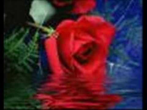 sherseri (dj sensiz olmuyor bebegim)