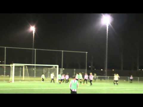 Hekelingen D6   Hekelingen D8M   2 1  12 12 2012