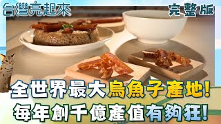 全球最大烏魚子產地口湖鄉 百歲姨伯團創每年千億產值 蒼蠅頭是台灣人發明的 剩食再利用員工餐變名菜 │白心儀主持│【台灣亮起來完整版】20251221│三立新聞台