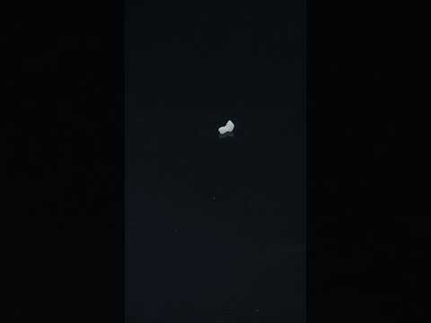 YouTube 썸네일