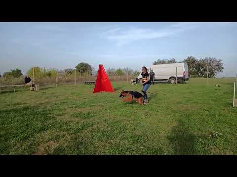 Rögződ-völgyi Xixo