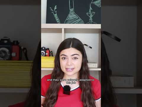 Superhuman Underwater Vision of the Moken Children