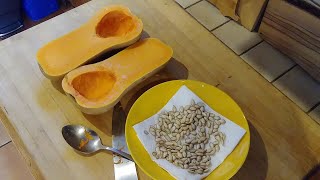 Can you Save Squash Seeds from the Store - Coffee with the Garden Club - S001E002