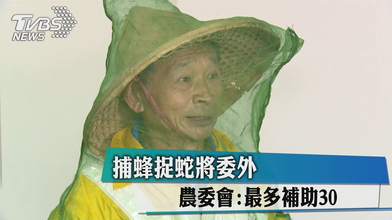 捕蜂捉蛇將委外 農委會:最多補助30%