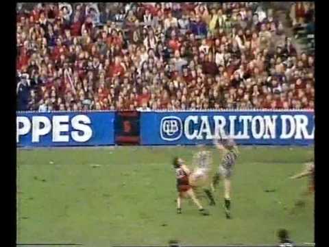 VFL R18 1981 - Essendon v Collingwood