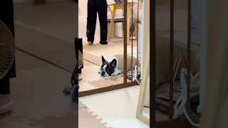 危機察知能力を使う場面合ってる？🥹