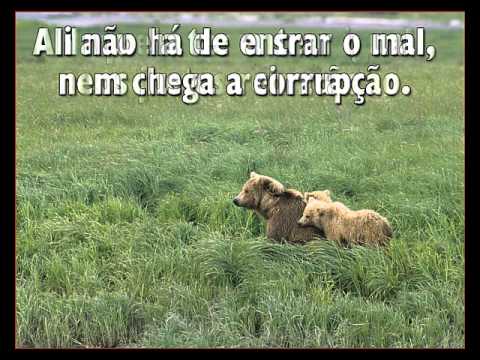 Há Um  País De Eterna Luz    -   Hino  548