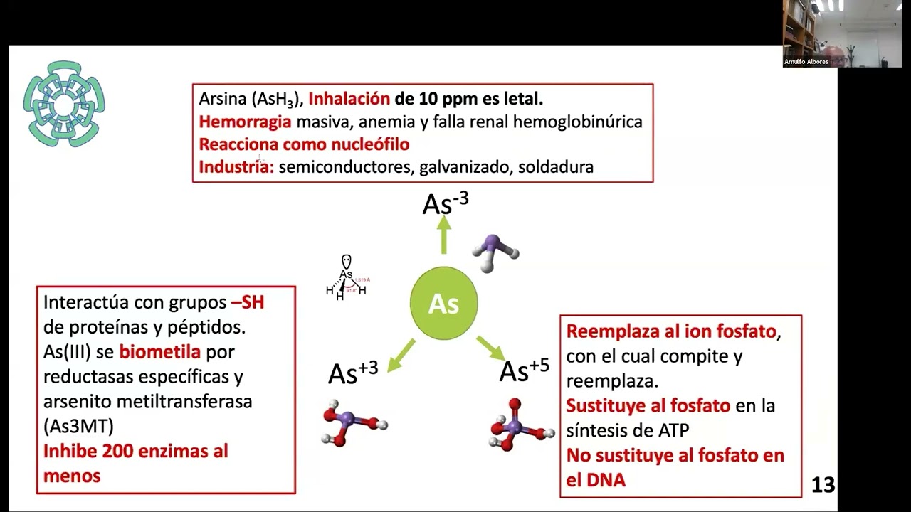 ¿PORQUÉ ES TÓXICO EL ARSÉNICO?