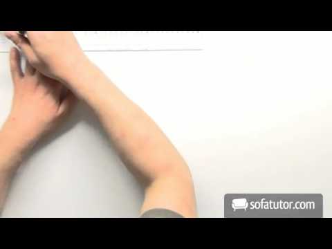 Mutation und Selektion am Beispiel der Kerguelen-Fliege | Biologie | Evolution