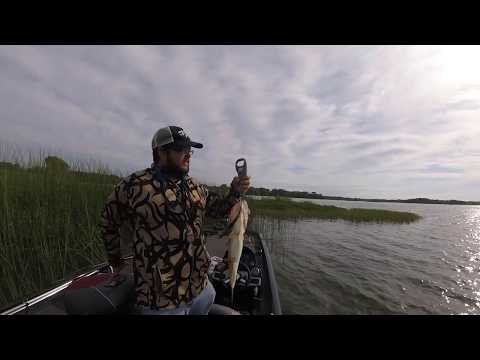 Edward Medard Park- 3/10/18