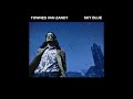 Townes Van Zandt Sky Blue